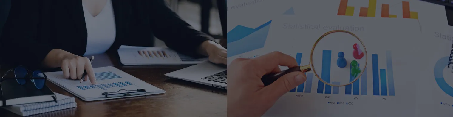 quantitative vs qualitative
